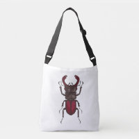 Stag beetle