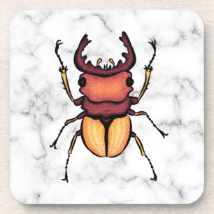 Stag Beetle Insect Art Entomology Coaster