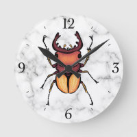 Stag Beetle Insect Art Entomology