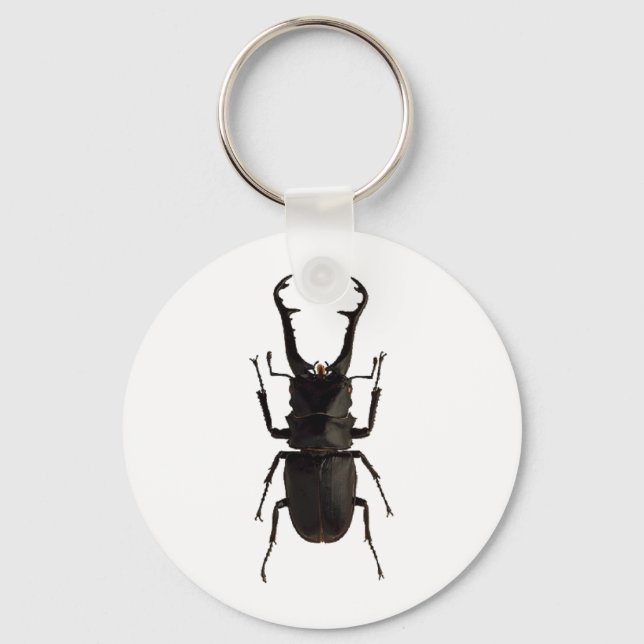 Stag Beetle Key Ring (Front)