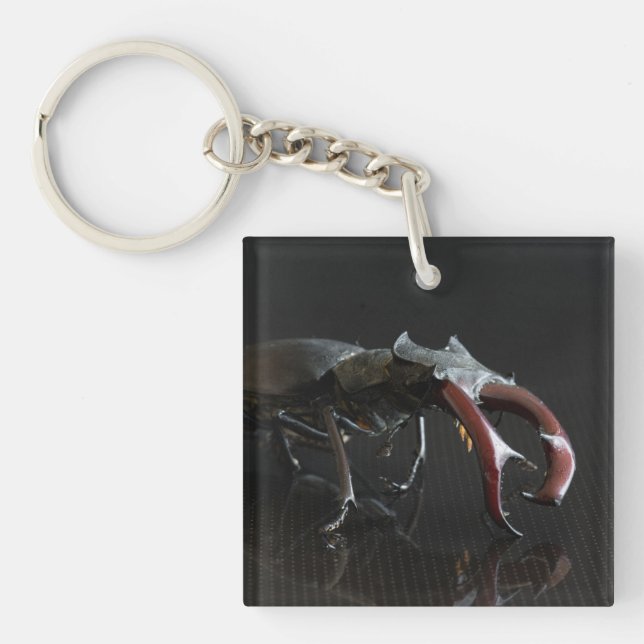 Stag beetle key ring (Front)