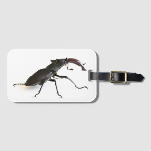 Stag beetle luggage tag