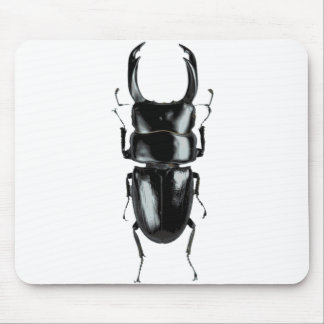 Stag beetle mousepad