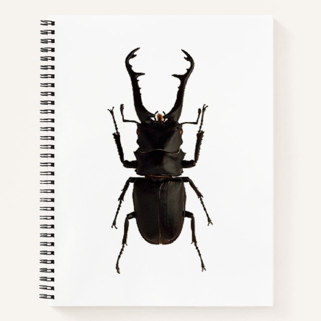 Stag Beetle Notebook (Front)