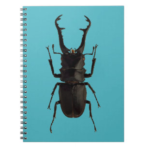 Stag Beetle Notebook
