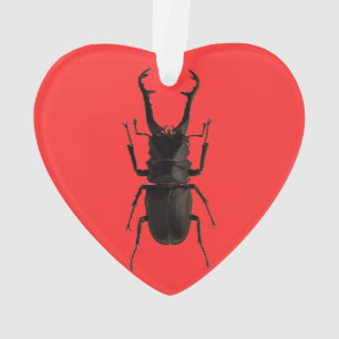 Stag Beetle Ornament