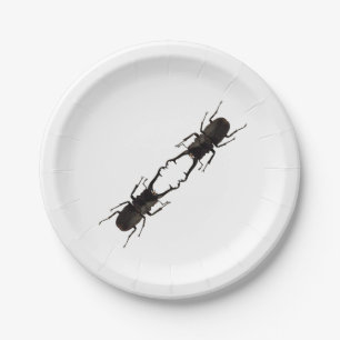 Stag Beetle Paper Plate
