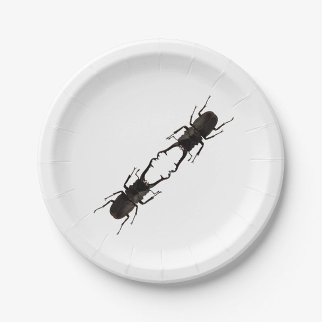 Stag Beetle Paper Plate (Front)