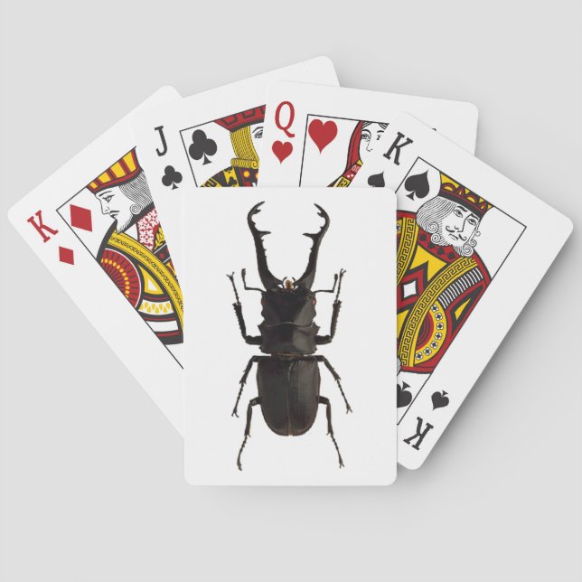 Stag Beetle Playing Cards (Back)