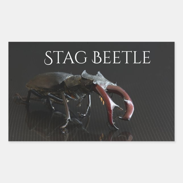 Stag beetle rectangular sticker (Front)