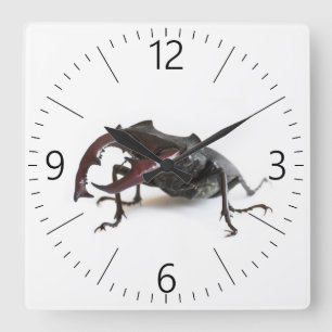 Stag beetle square wall clock