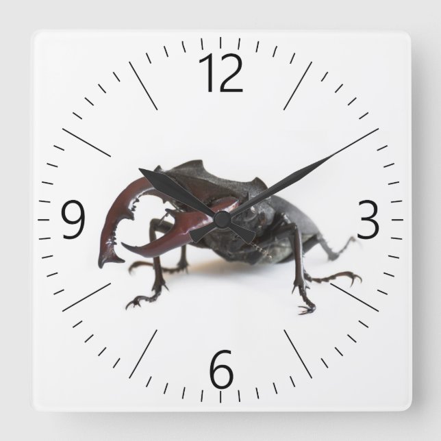 Stag beetle square wall clock (Front)