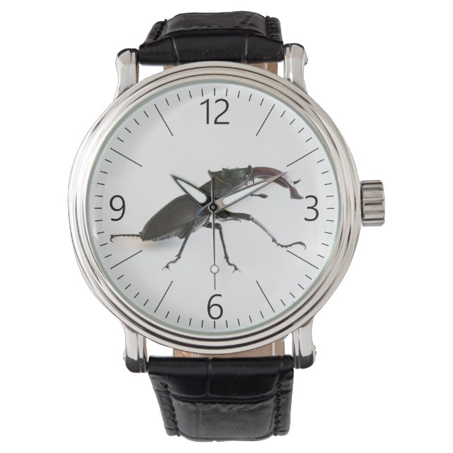 Stag beetle watch (Front)