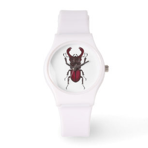 Stag beetle watch