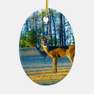 Stag / Buck  Deer, Bright blue Sky Ceramic Tree Decoration