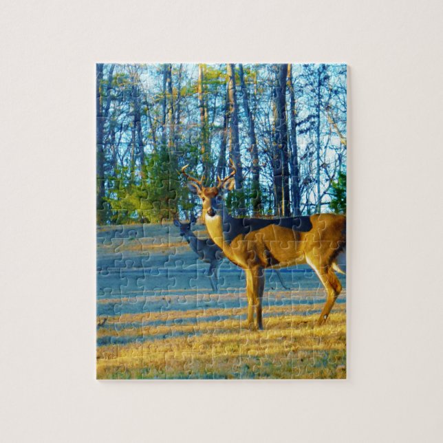 Stag / Buck  Deer, Bright blue Sky Jigsaw Puzzle (Vertical)