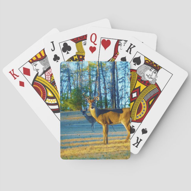Stag / Buck  Deer, Bright blue Sky Playing Cards (Back)