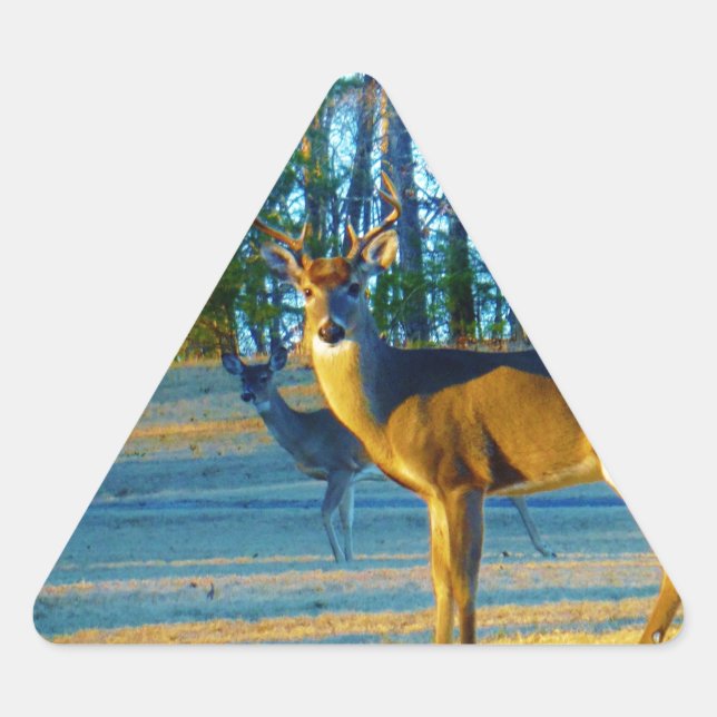 Stag / Buck  Deer, Bright blue Sky Triangle Sticker (Front)