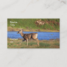Stag Business Cards