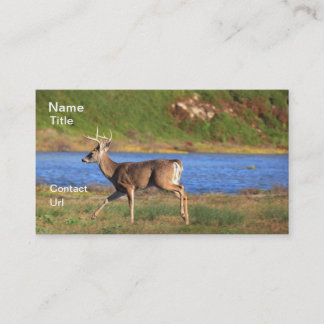 Stag Business Cards