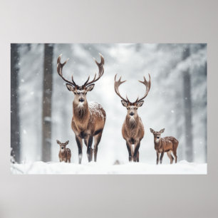 Stag Deer Animal Family Wandering Nature Poster