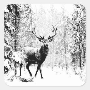Stag Deer Winter Forest Wildlife Animal Nature Art Square Sticker