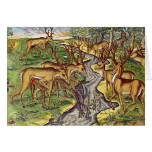 Stag Hunt, from 'Brevis Narratio'