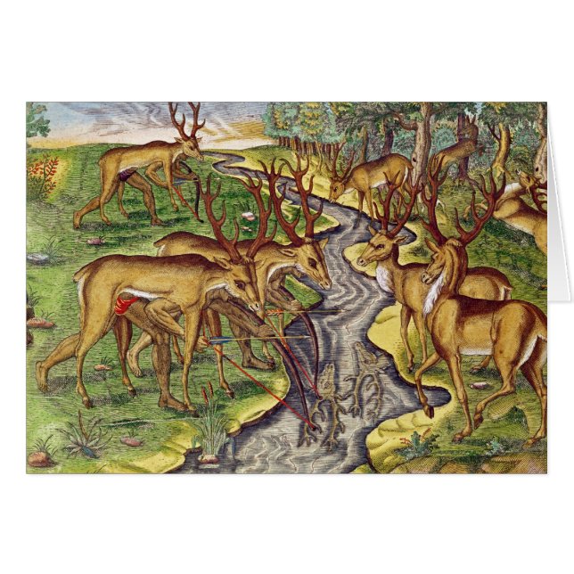 Stag Hunt, from 'Brevis Narratio' (Front Horizontal)