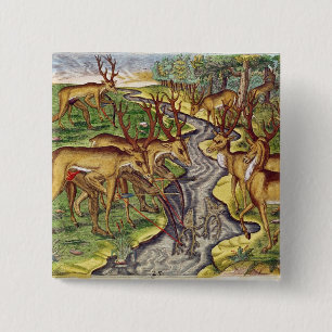 Stag Hunt, from 'Brevis Narratio' 15 Cm Square Badge