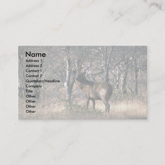 Stag in forest business card (Front)