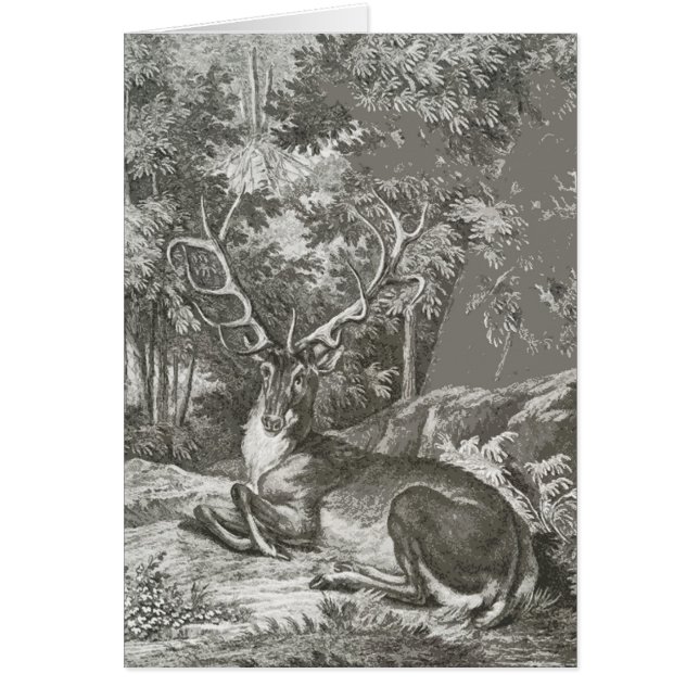 Stag In The Forest (Front)