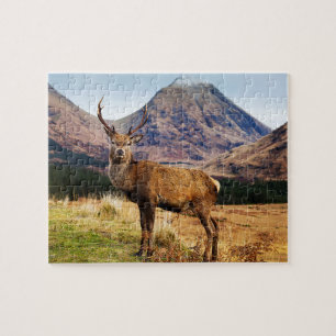 Stag Jigsaw Puzzle