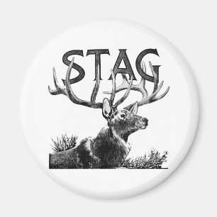 Stag Magnet
