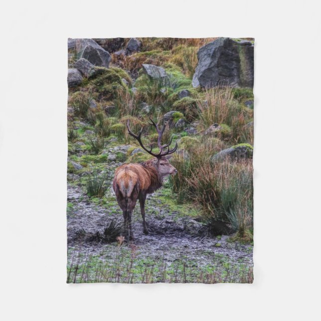 stag  photograph blanket (Front)