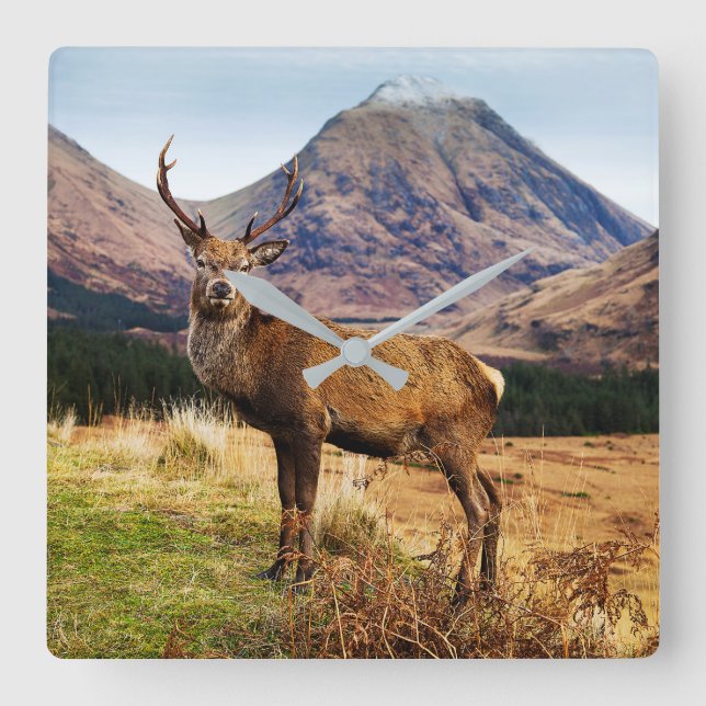 Stag Wall Clock (Front)