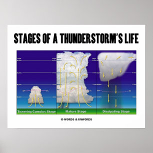 Stages Of A Thunderstorm's Life (Meteorology) Poster