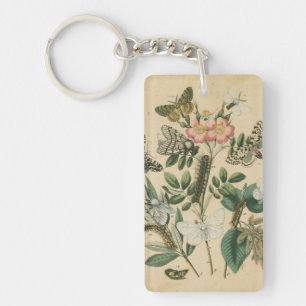 Stages of Butterfly Life by Vision Studio Key Ring