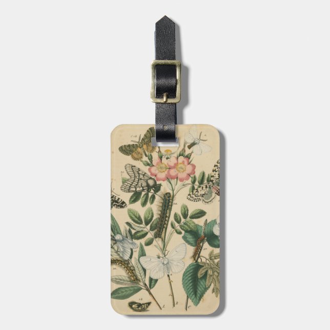 Stages of Butterfly Life by Vision Studio Luggage Tag (Front Vertical)
