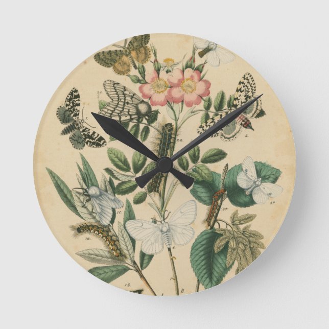 Stages of Butterfly Life by Vision Studio Round Clock (Front)