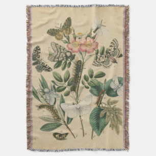 Stages of Butterfly Life by Vision Studio Throw Blanket