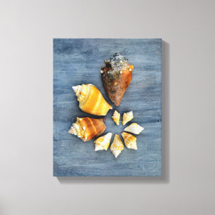 Stages of Life Canvas Print