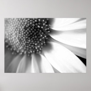 Stages of Life Poster