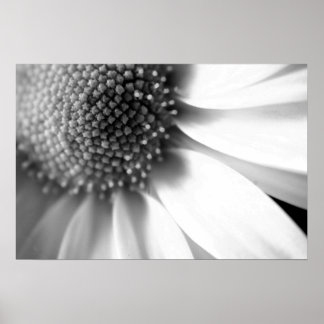 Stages of Life Poster