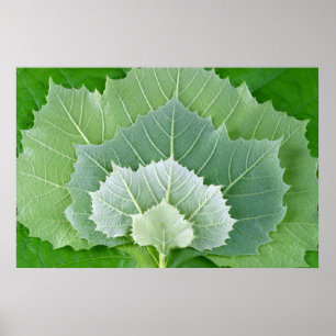 STAGES OF LIFE POSTER