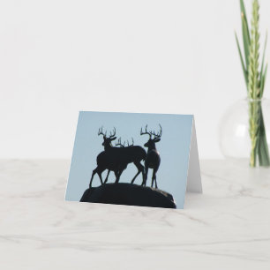 "Stags at Boldt Castle"  note card