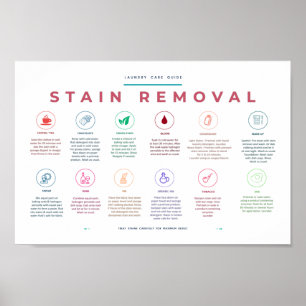 Stain Removal Laundry Room Symbols Guide Colourful Poster
