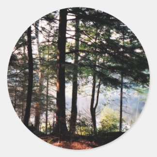 Stained Glass Forest Classic Round Sticker