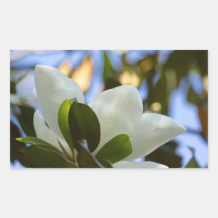 Stained Glass Sky Southern Magnolia Gifts Apparel Rectangular Sticker