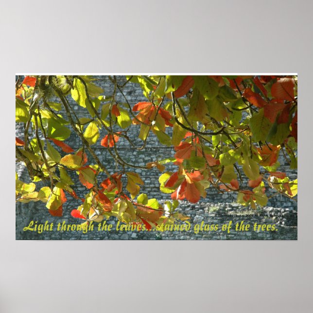 Stained Glass Trees - Poster with Quote (Front)