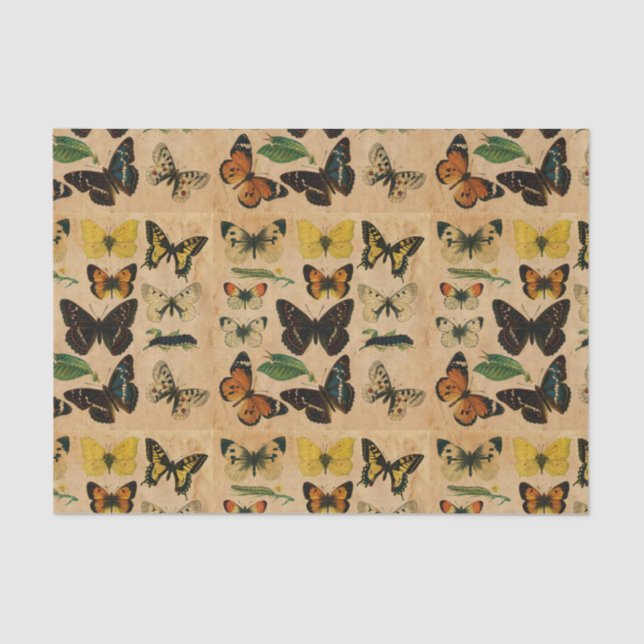 Stained Vintage Butterfly Collections Decoupage Tissue Paper (Front)